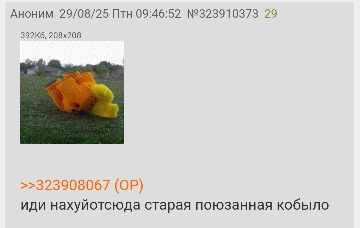 720x457