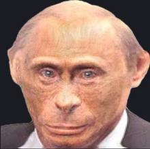 429x427