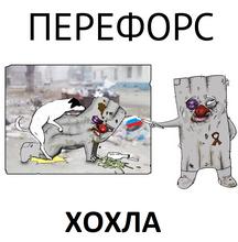890x910