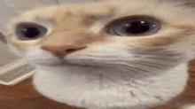 228x128